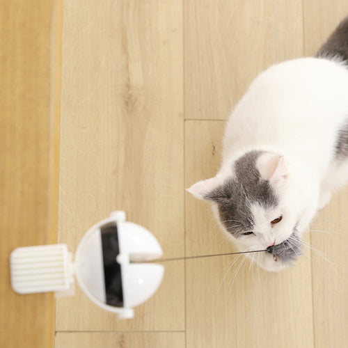 Electric Interactive Cat Toy Cats Love Instantly