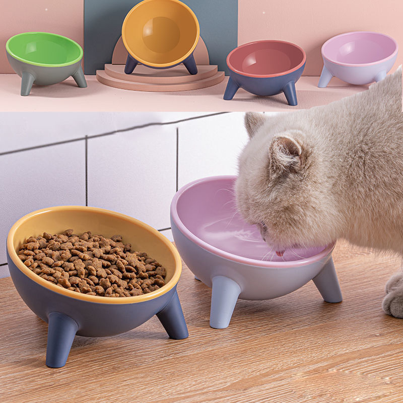 Elevated Pet Food Bowl for Comfortable Feeding